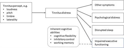 The executive disruption model of tinnitus distress: Model validation in two independent datasets using factor score regression